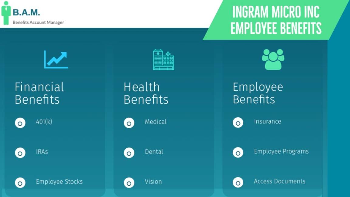 Ingram Micro Inc Employee Benefits  Benefit Overview Summary