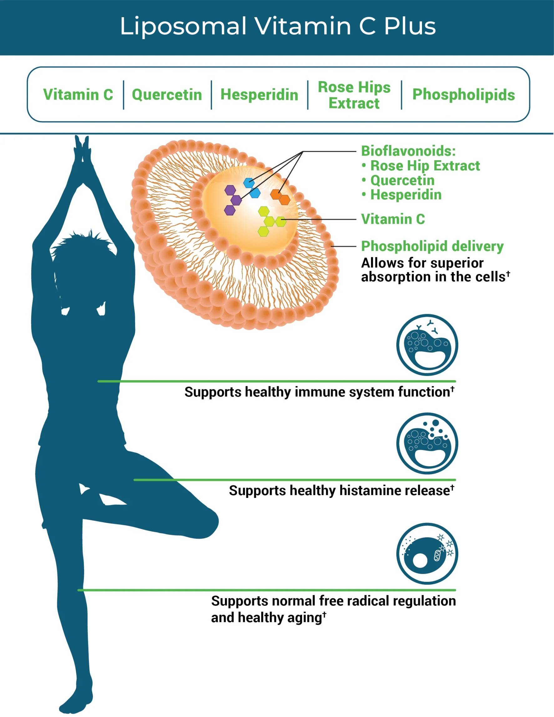 Liposomal Vitamin C Plus   SeekingHealth