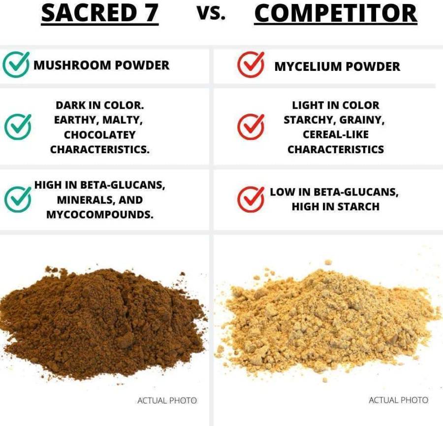 SACRED  Mushroom Extract Powder - Immunity Supplement • HAPPY