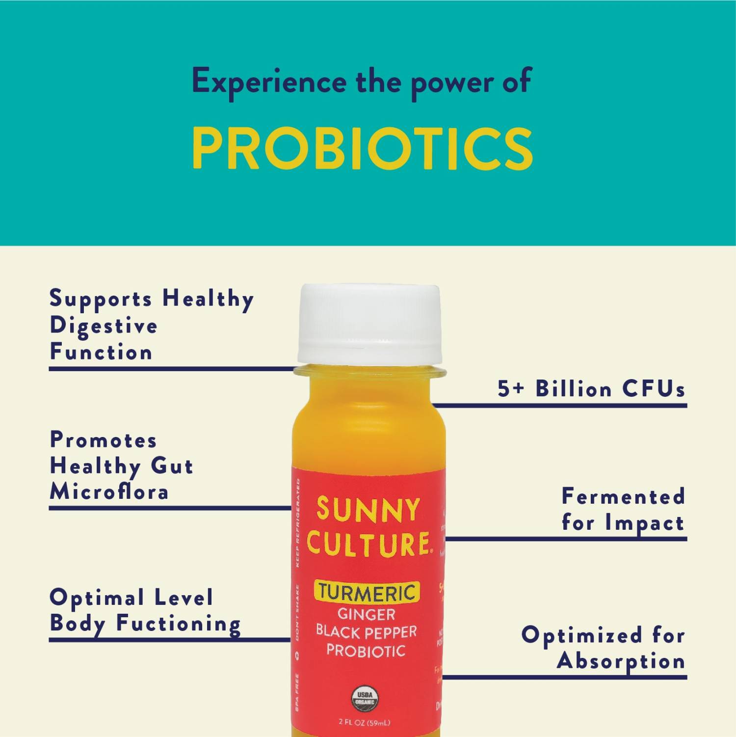 Turmeric Ginger Probiotic Shots